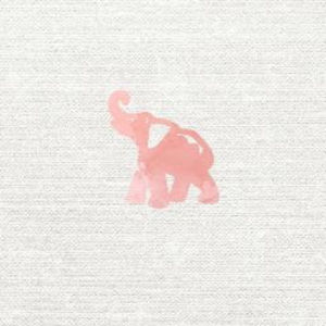 Meet your Posher, Reagan